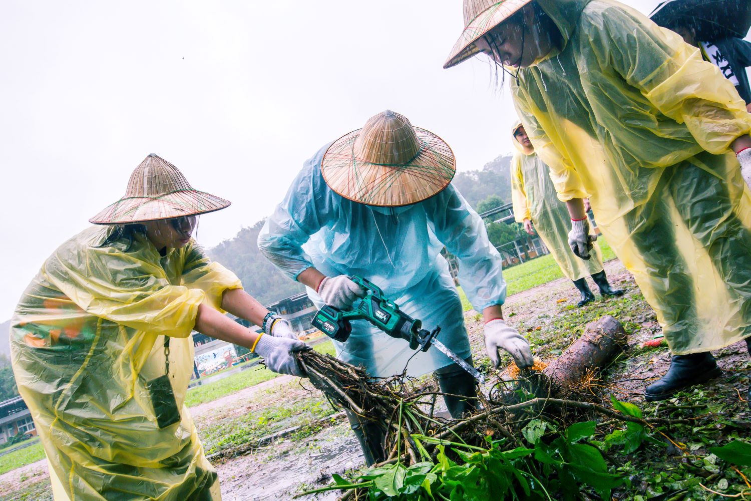 雙溪上林國小秘密基地大變身｜愛心修繕(標題圖檔)